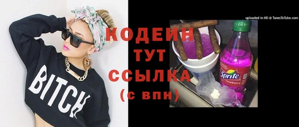 МДПВ Липки