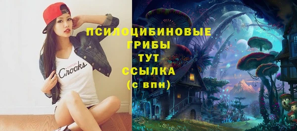 гидра Лихославль