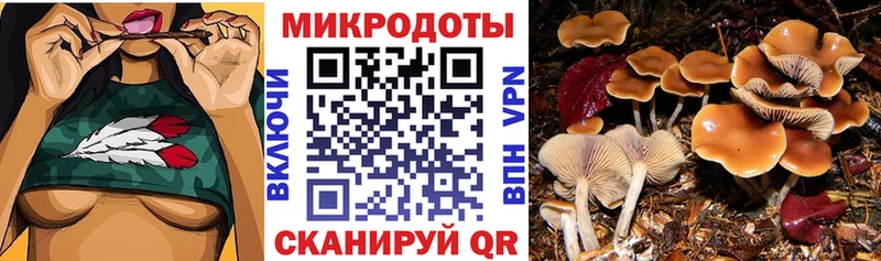 Псилоцибиновые грибы Cubensis  кракен ССЫЛКА  дарк нет официальный сайт  Сясьстрой 